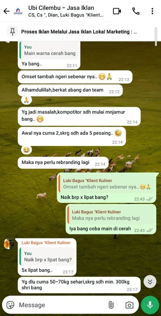 WhatsApp Image 2025-11-13 at 03.31.48